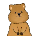 virtual_quokka