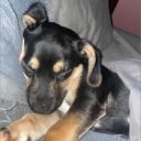 avatar kaltemplesmith