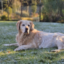 avatar 𝔐𝔞𝔯𝔩𝔞  ♡