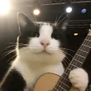 the_sombraxyt avatar