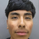 avatar Microsoft Word