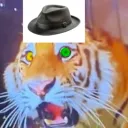 tri_cat