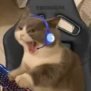 liahm_