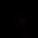 vpxr