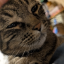 avatar cheddar hands