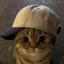 ductrilailai