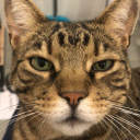 St&auml;ndigBesoffen