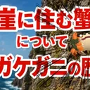 引きだけ雑魚神ヒ's Avatar