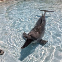 kenzhandy255's Avatar