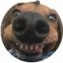 .hnaw