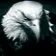 eagle911