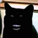 avatar sasha228(спецназ в деле)