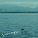 mervebaycan