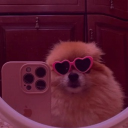 avatar Julia Noëlle