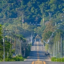 avatar กลุ่มไลน์ถาวรคอลฟรี 500 บาท