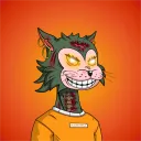 zolboomg