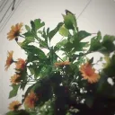 callmesoumya