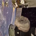 hal__oo