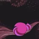 nishacid