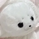kaimi102