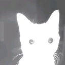 avatar † 𝔙𝔦𝔵𝔦𝔢