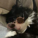 cuddleback