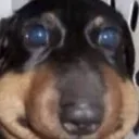 mirooutsider