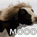 avatar karthik_rafael