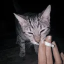 creka_og