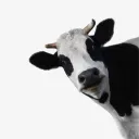 cowcowmoo0890
