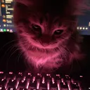 vyacmerxb