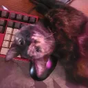 diamondwoof