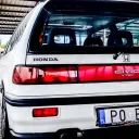 rosolek_10