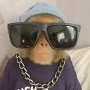 xilow_the_real