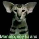 avatar Manolo12