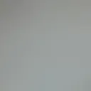 stefute