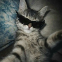 avatar 𝑇𝑖𝑙𝑑𝑎