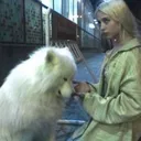 sevdalim