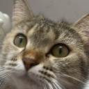 avatar Bánh Chôiii