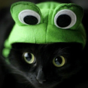 potapotayaki01's Avatar