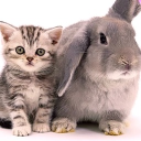 avatar HI giys Jaydensausbye