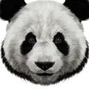 rawgaming