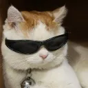 thug.4ff