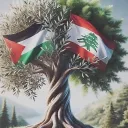 firas_faf