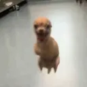 oxtaa_