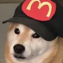 mcdonald_doge