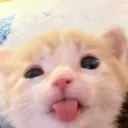 dluzy_2