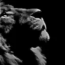 euinta5544m6913 avatar