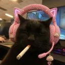 rexgamer9140