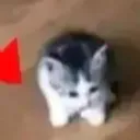 ghost_owo_